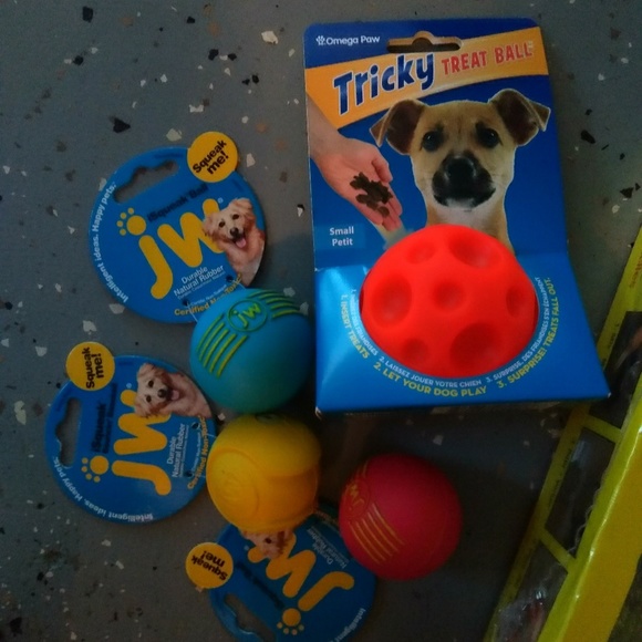 Dog - Picture 3 of 5